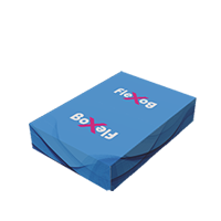 Faltkarton 2 Kammern